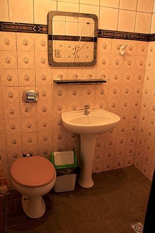 Hotel Pousada Da Serra チラデンテス 部屋 写真